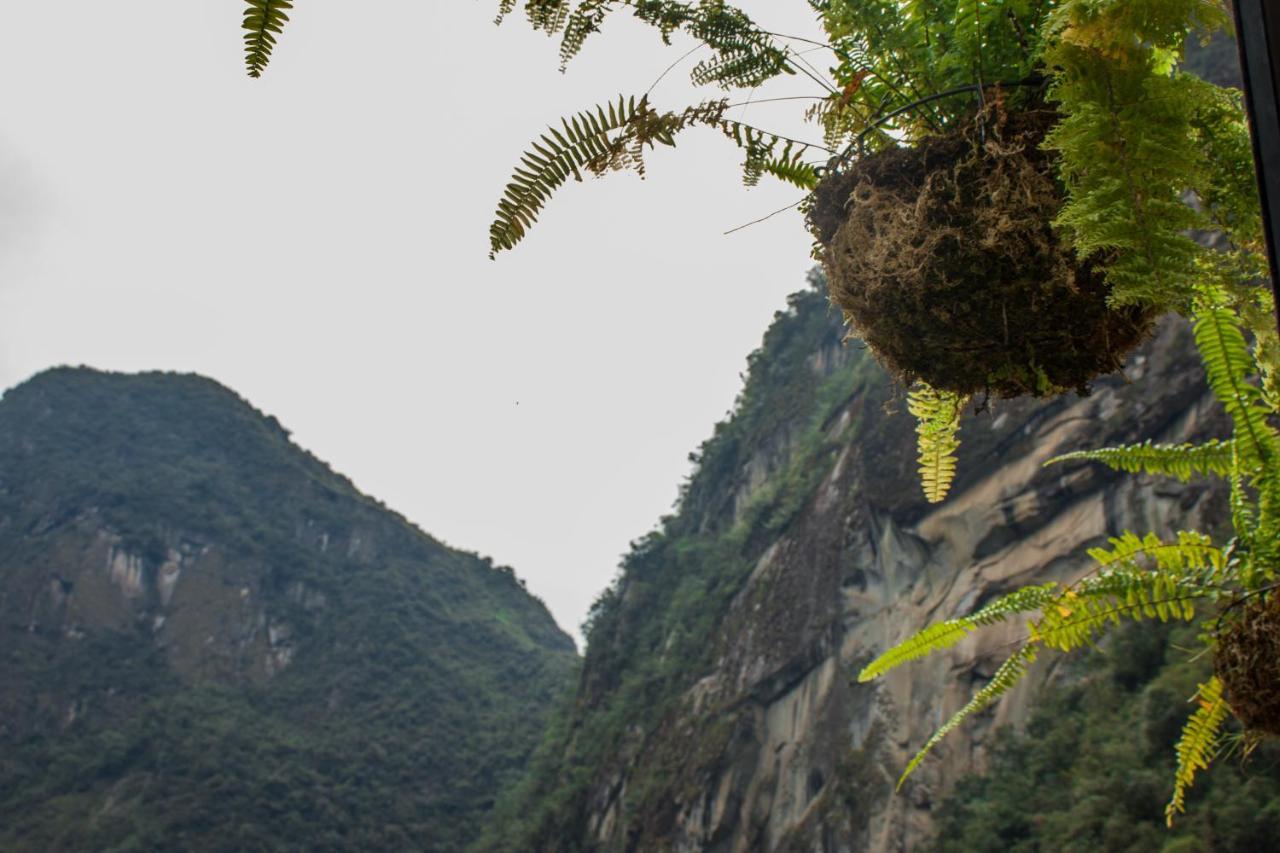 Runas Inn Machupicchu 外观 照片