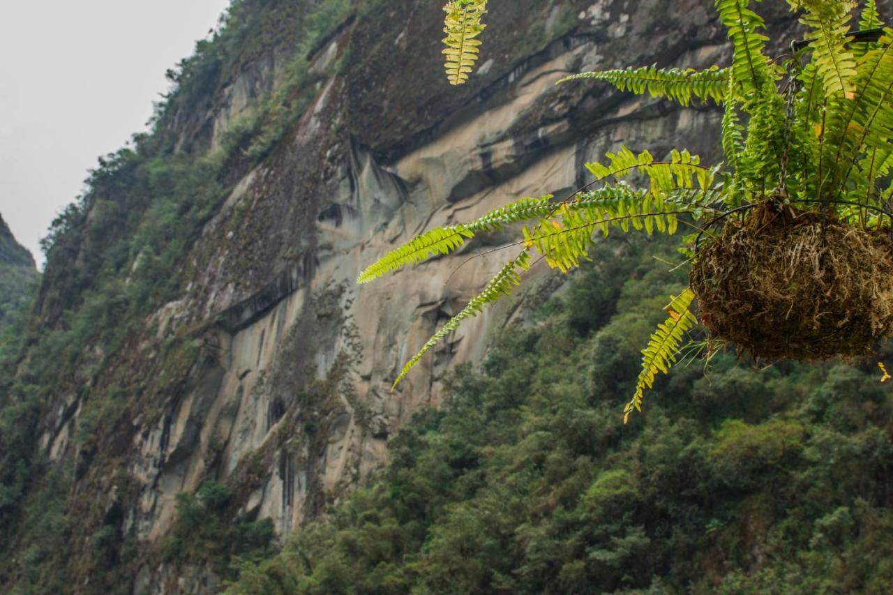 Runas Inn Machupicchu 外观 照片